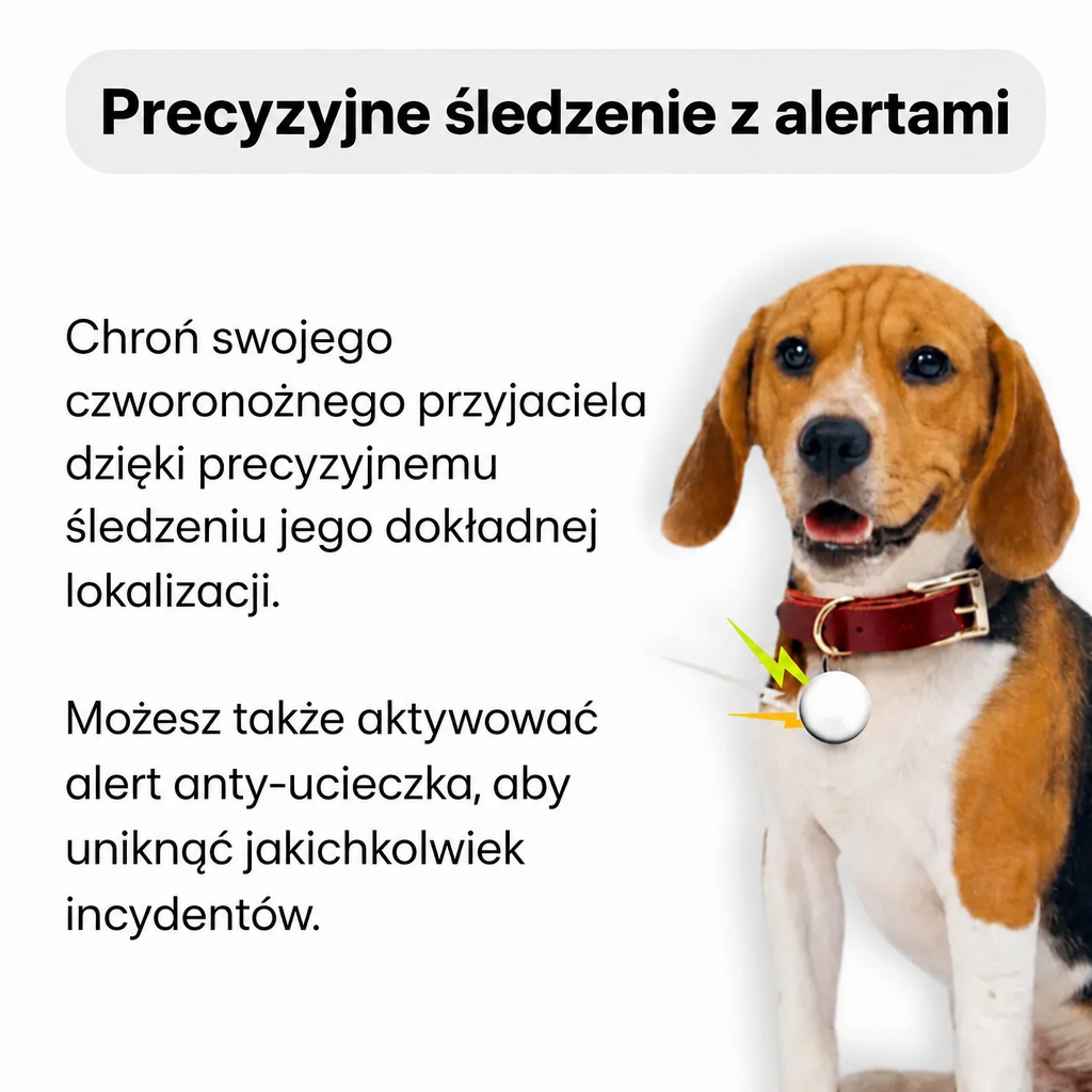 Dyskretny lokalizator GPS dla psa – śledzenie globalne z Apple i Android Find My, bez abonamentu