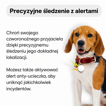 Dyskretny lokalizator GPS dla psa – śledzenie globalne z Apple i Android Find My, bez abonamentu