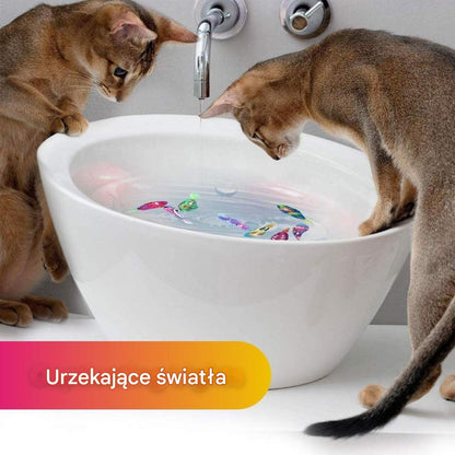 Interaktywny zestaw zabawek dla kotów ze światłem