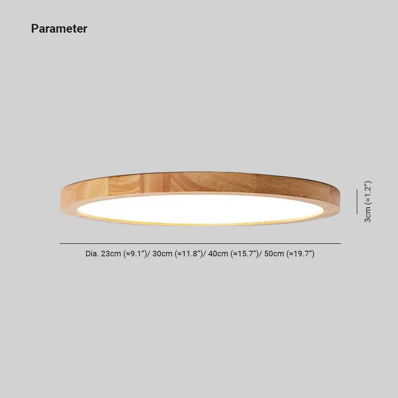 Nowoczesna ściemnialna lampa sufitowa LED z trójkolorowym oświetleniem do salonu i sypialni