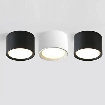 Regulowana lampa sufitowa LED punktowa Nowoczesny natynkowy downlight