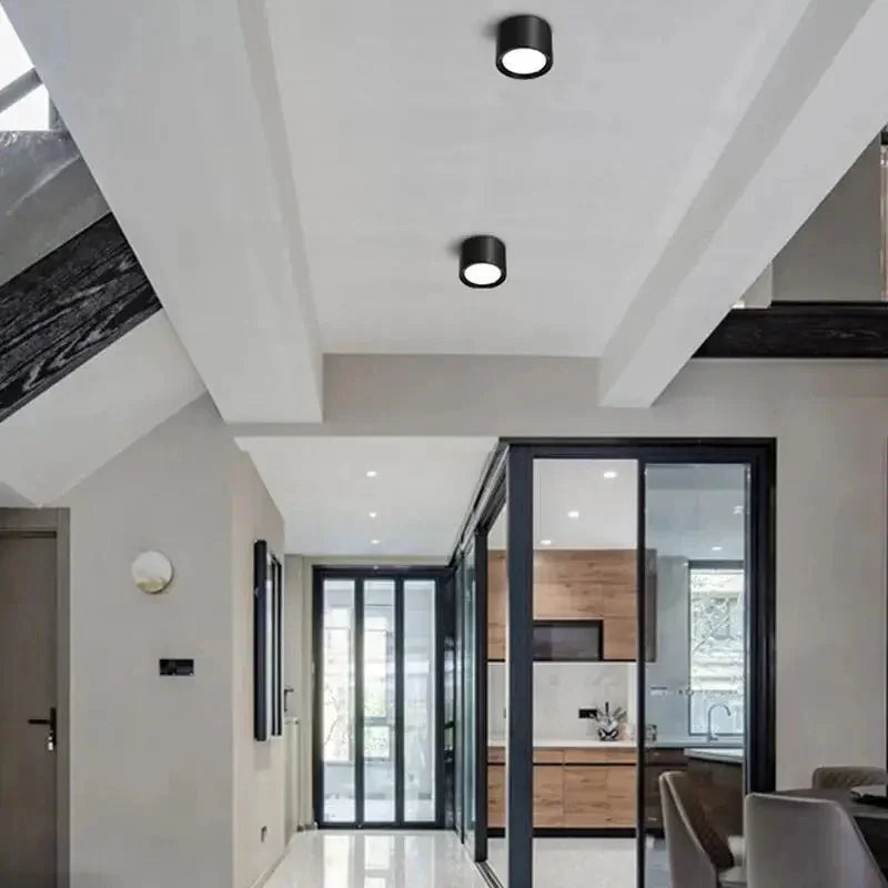 Regulowana lampa sufitowa LED punktowa Nowoczesny natynkowy downlight