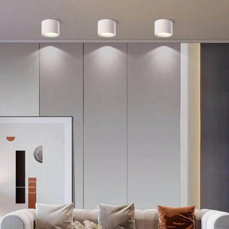 Regulowana lampa sufitowa LED punktowa Nowoczesny natynkowy downlight