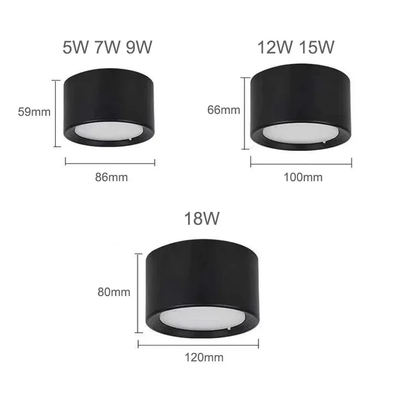 Regulowana lampa sufitowa LED punktowa Nowoczesny natynkowy downlight