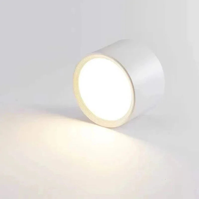 Regulowana lampa sufitowa LED punktowa Nowoczesny natynkowy downlight