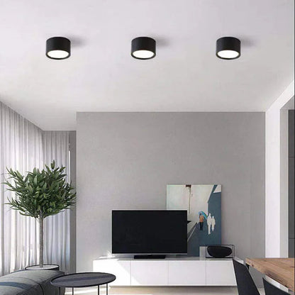 Regulowana lampa sufitowa LED punktowa Nowoczesny natynkowy downlight