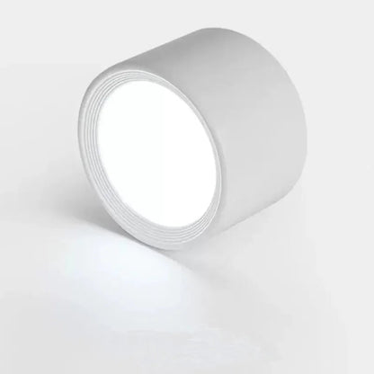 Regulowana lampa sufitowa LED punktowa Nowoczesny natynkowy downlight