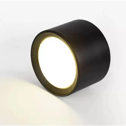 Regulowana lampa sufitowa LED punktowa Nowoczesny natynkowy downlight