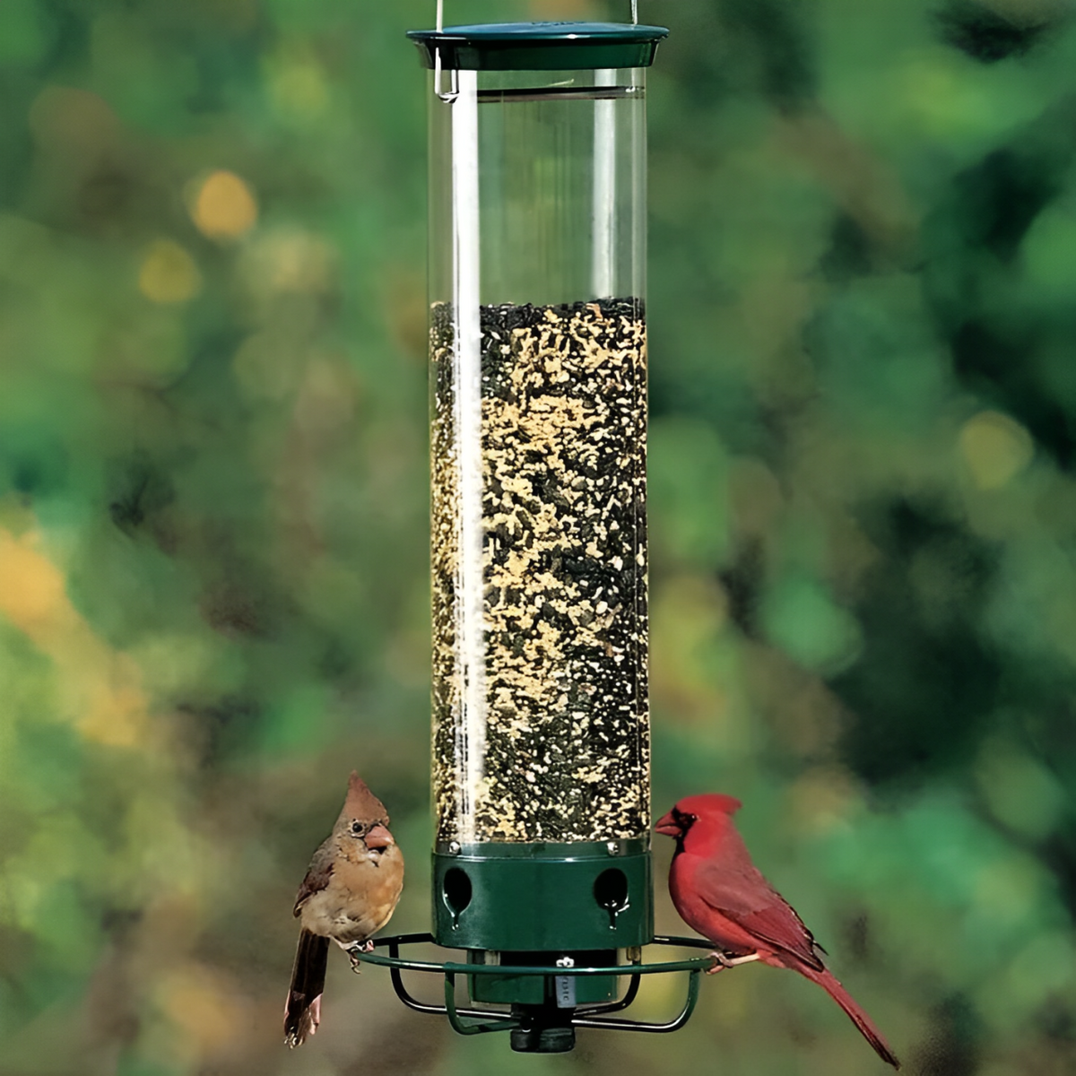 Wiszący Karmnik dla Ptaków z Ochroną Przed Wiewiórkami - Trwały, Zielony