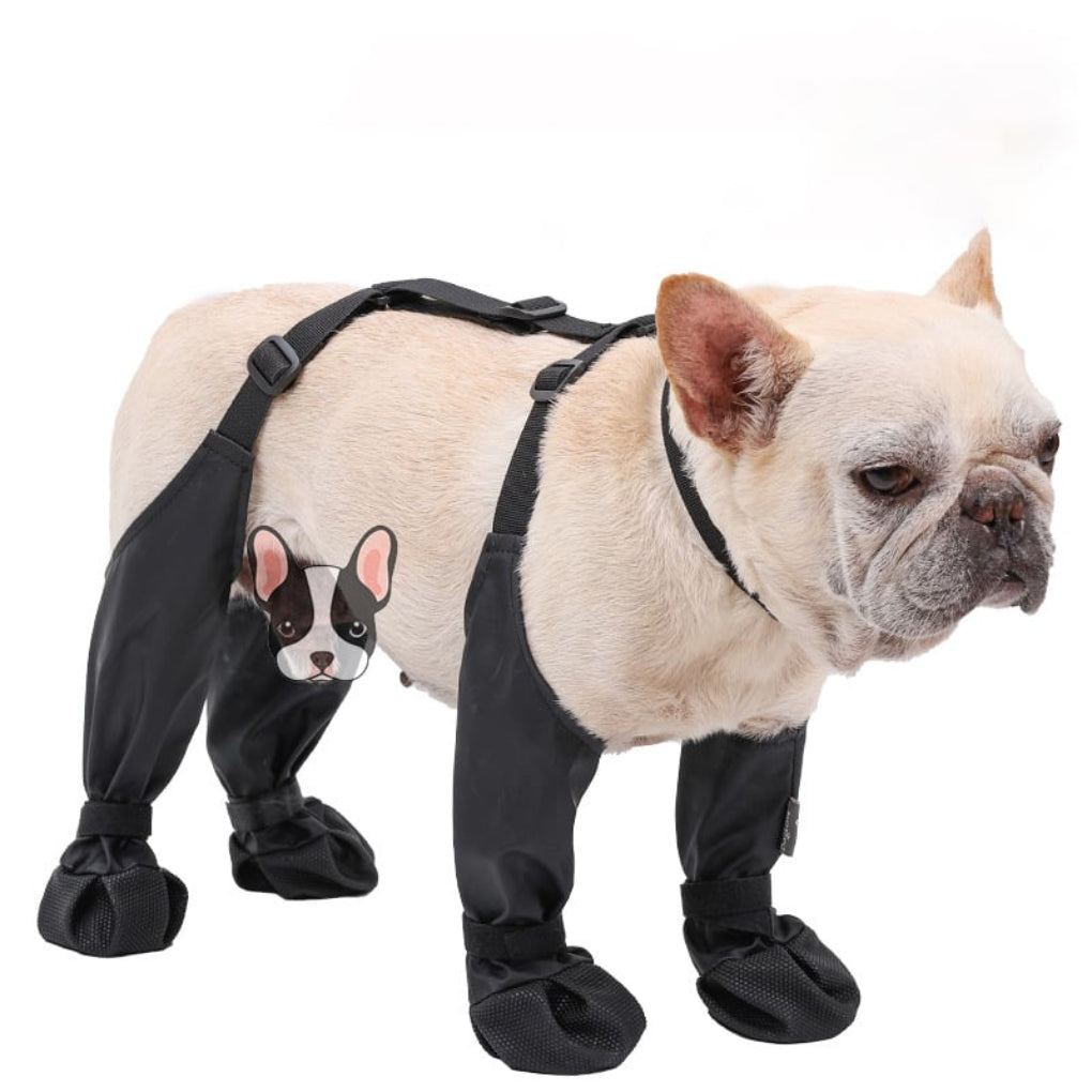 Wytrzymałe buty dla psów